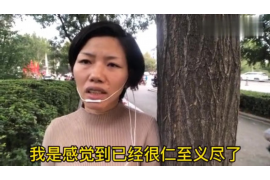 江苏企业清欠服务